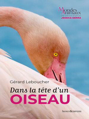 cover image of Dans la tête d'un oiseau